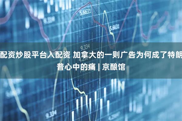 配资炒股平台入配资 加拿大的一则广告为何成了特朗普心中的痛 | 京酿馆