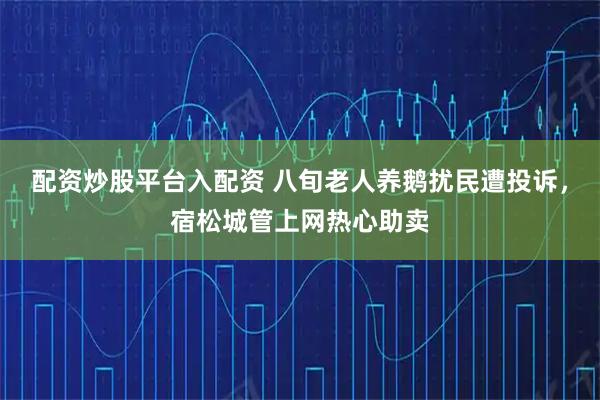 配资炒股平台入配资 八旬老人养鹅扰民遭投诉，宿松城管上网热心助卖